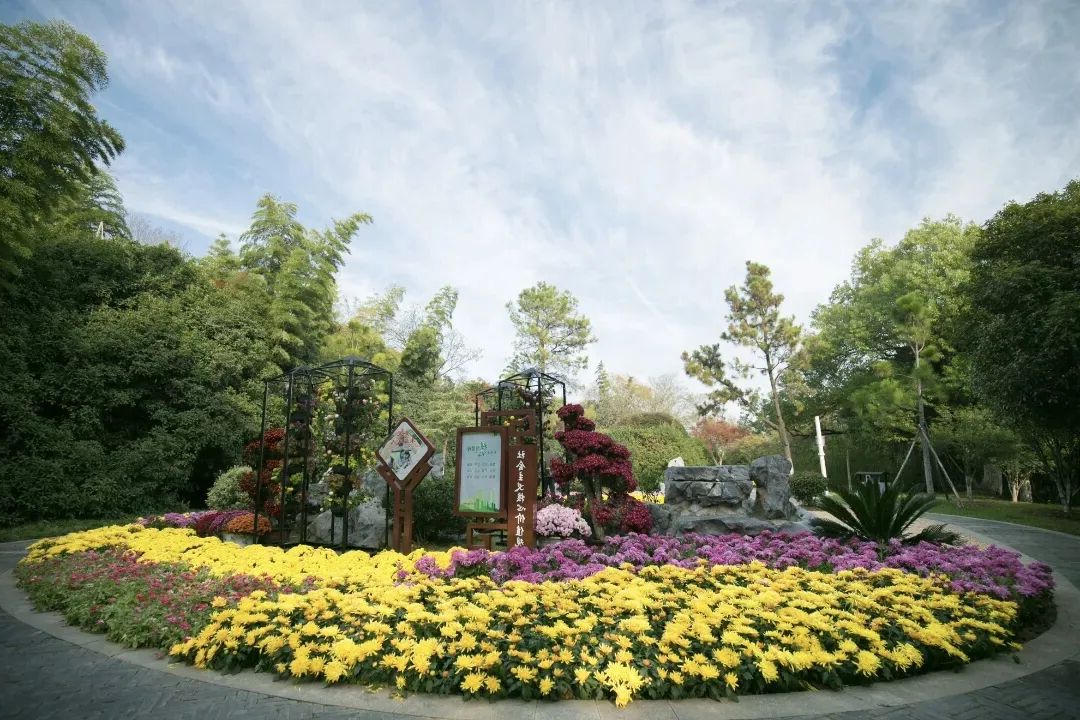 新葡京平台