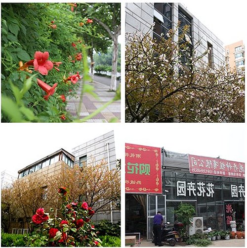 新葡京平台