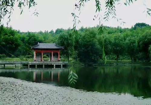 新葡京平台