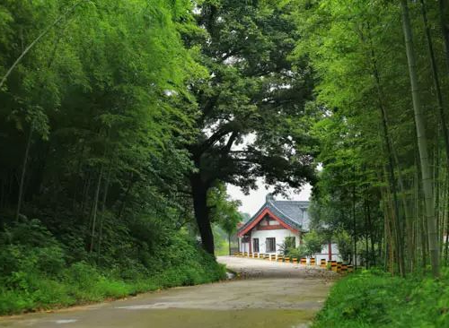 新葡京平台