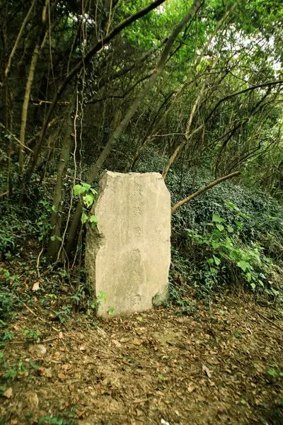 新葡京平台