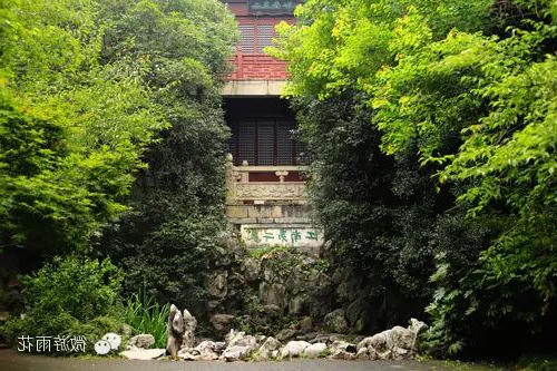 新葡京平台