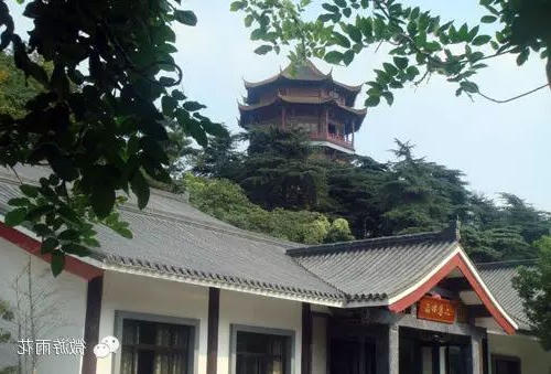 新葡京平台