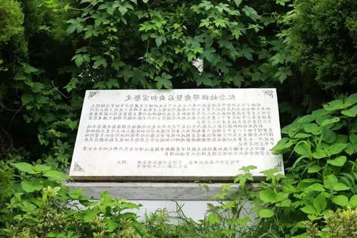 新葡京平台